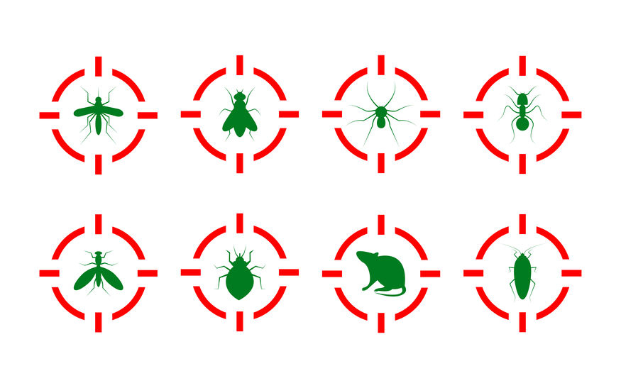 Les nuisibles les plus fréquents en France et comment les reconnaître